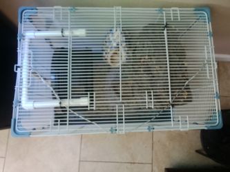 Sugar glider cage