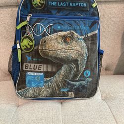 Dinosaur Backpack 