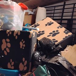 FOME PAW PRINT PET STEPS