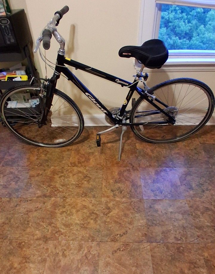 Giant Cypress Bike