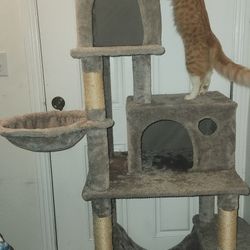 Cat Tree