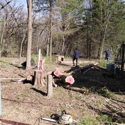 Limpieza De Terrenos Buenos Precios 