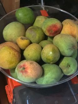 Selling organic mangoes