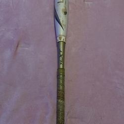 Louisville Slugger Fastpitch Softball Bat (-11) Gold/White Balanced Swing