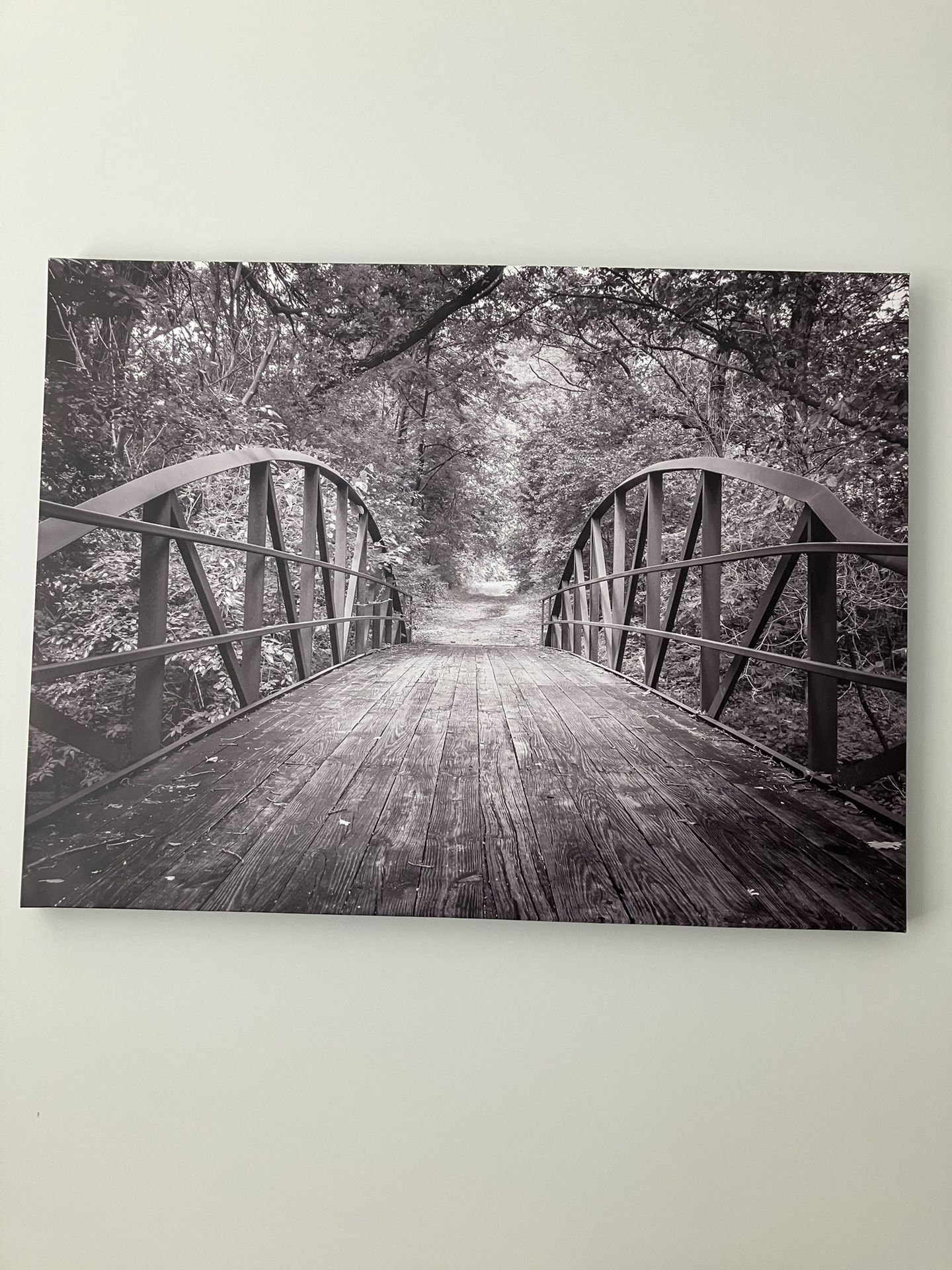 Large Canvas Picture
