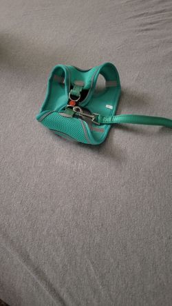 Dog Leash