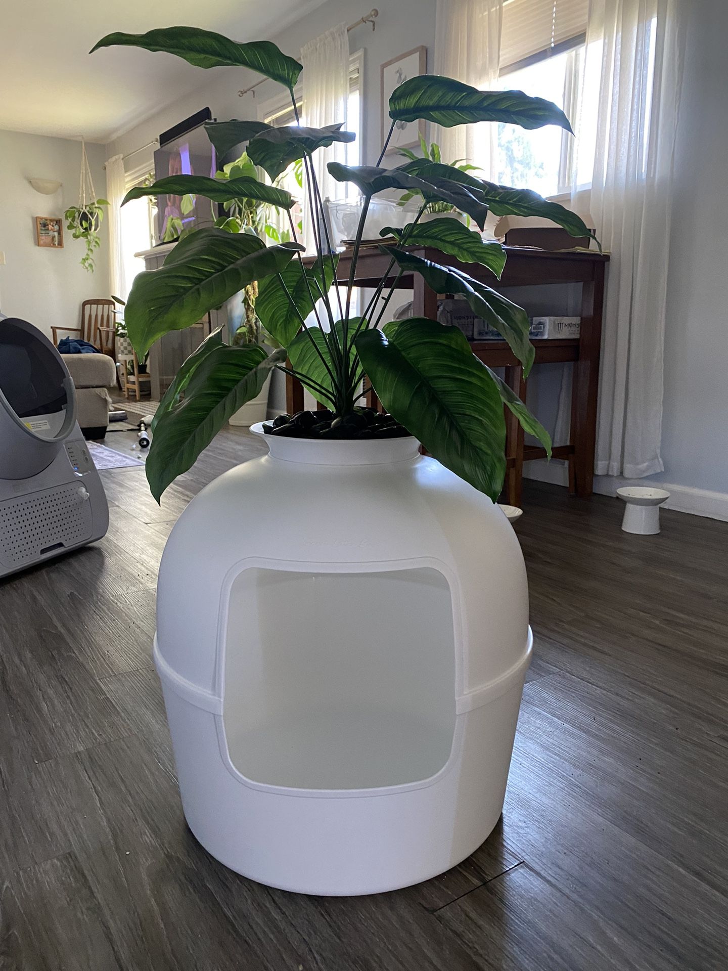Secret Litter Box - Plant