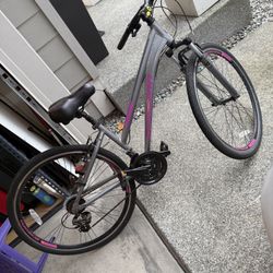 Women’s Schwinn Bike 