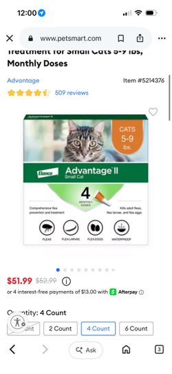 Cat flea prevention treatment