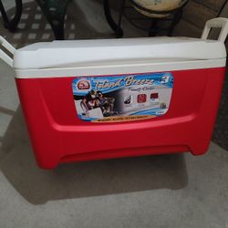 COOLER IGLOO 48 QUART 