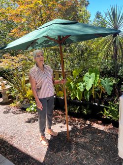 Green patio umbrella wood frame