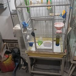 Cage For Sale 