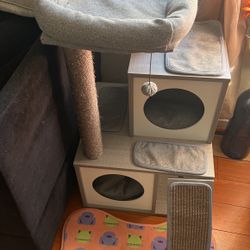 Cat Condo