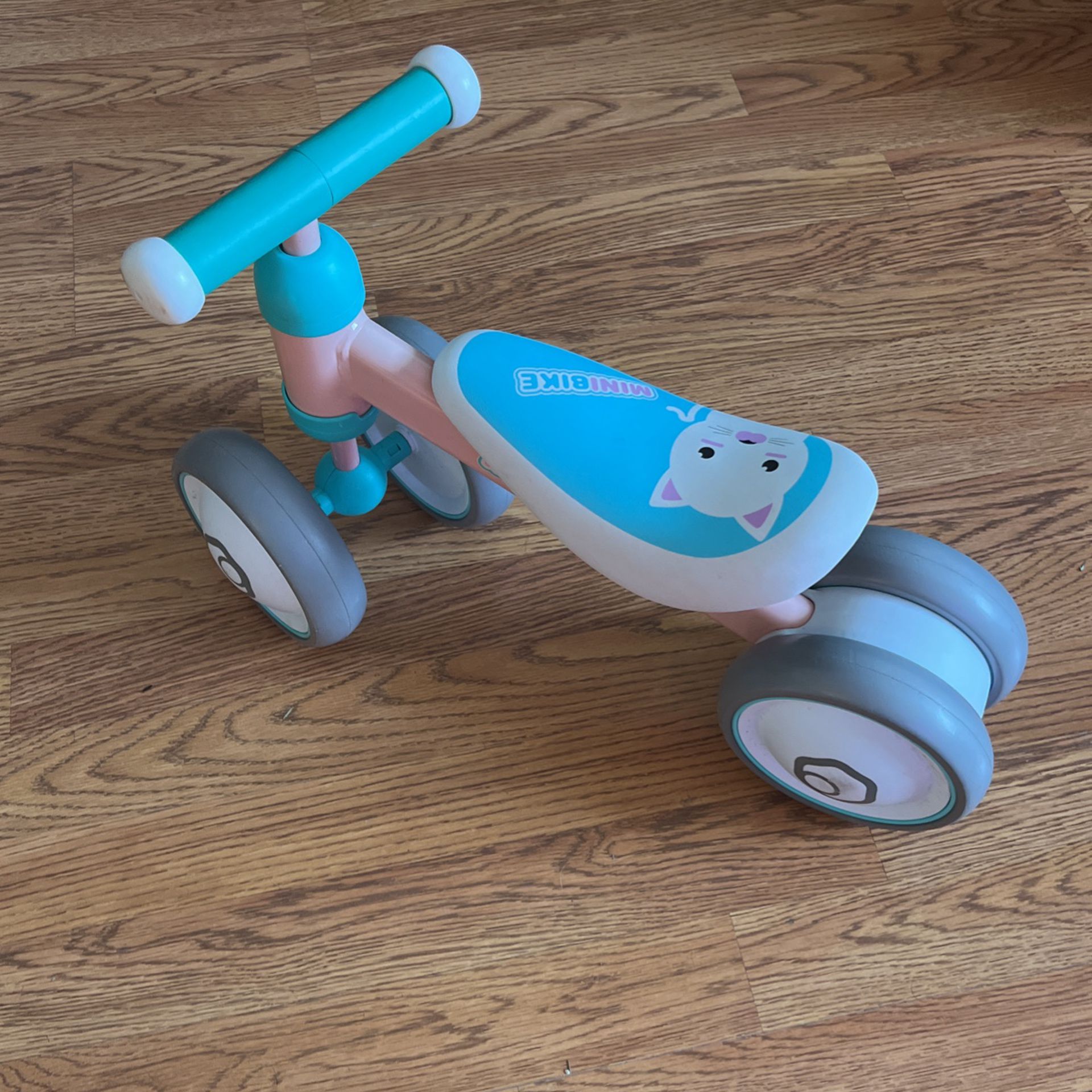 Toddler Minibike