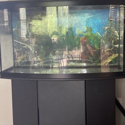 42-Gallon Aquarium Setup w/ Stand, Accessories – $300 (Leak-Free & Ready to Use)