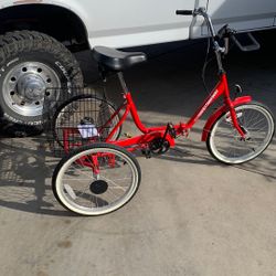 Stowaway Adult Tricycle 20 inch Wheels Preowned VG Condition Local Pickup Only