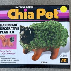 Chia Pet Kitten