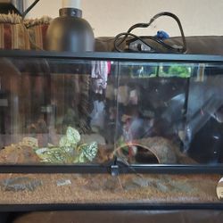 Reptile Tank Not Needed Anymore, Is Basically New 