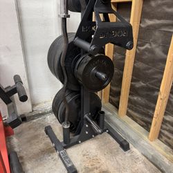 Olympic Plates Bumper Plates