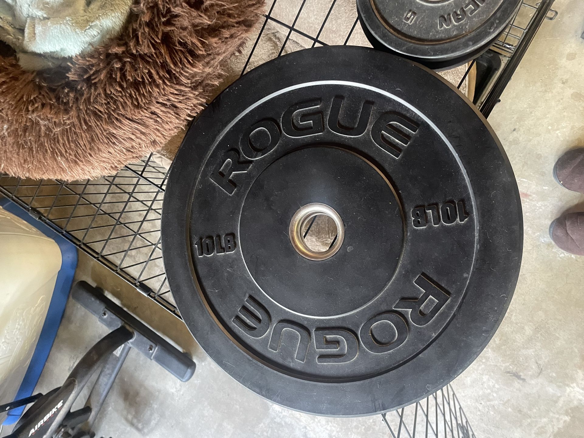 Rogue/ American Barbell Bumper Plates 