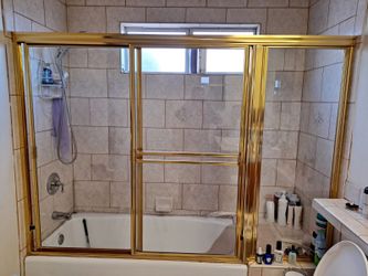 Shower Door 