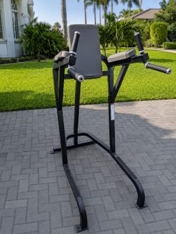 The Cybex VKR Leg Raise  / Dip