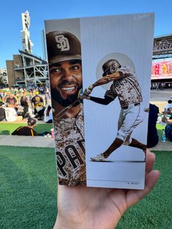 Padres Stadium Exclusive ⚾