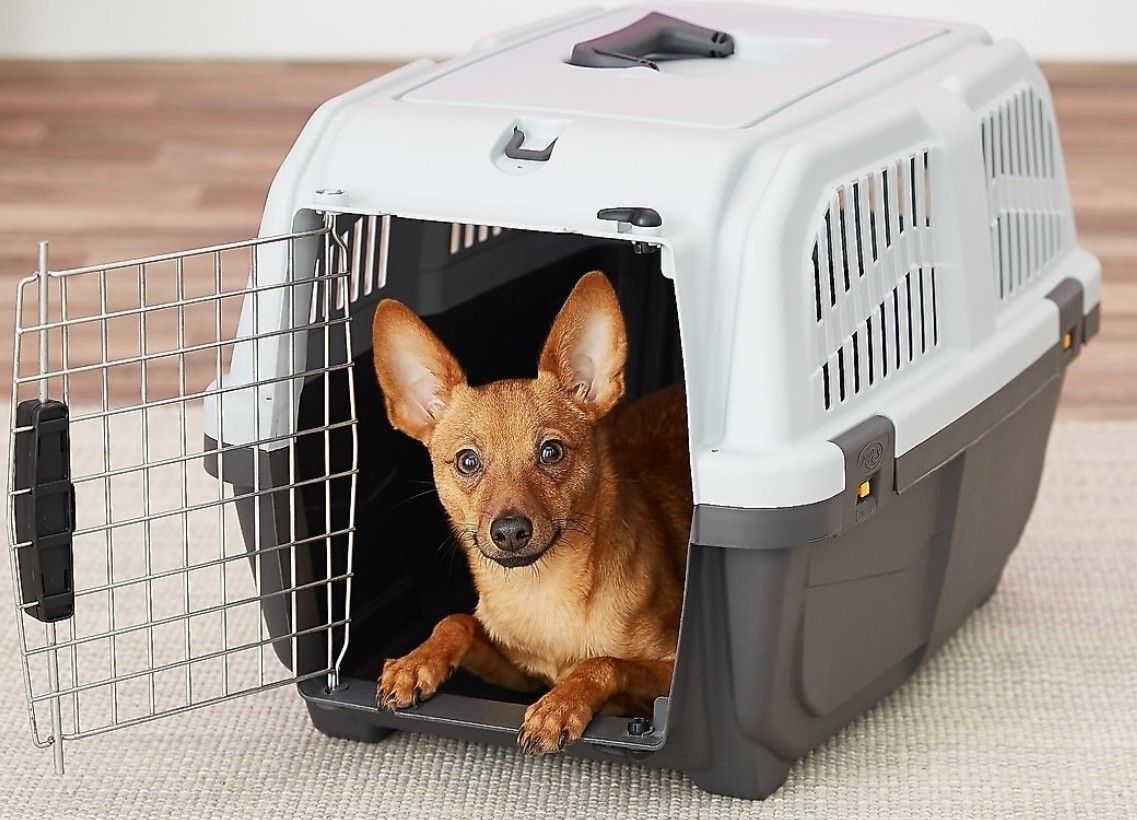Small Dog & Cat Plastic Kennel Crate