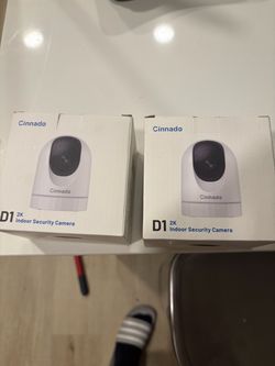 D1 security camera
