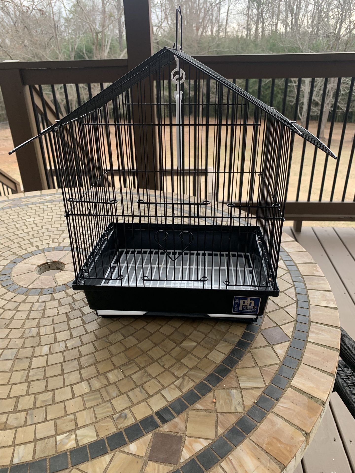 Bird Cage