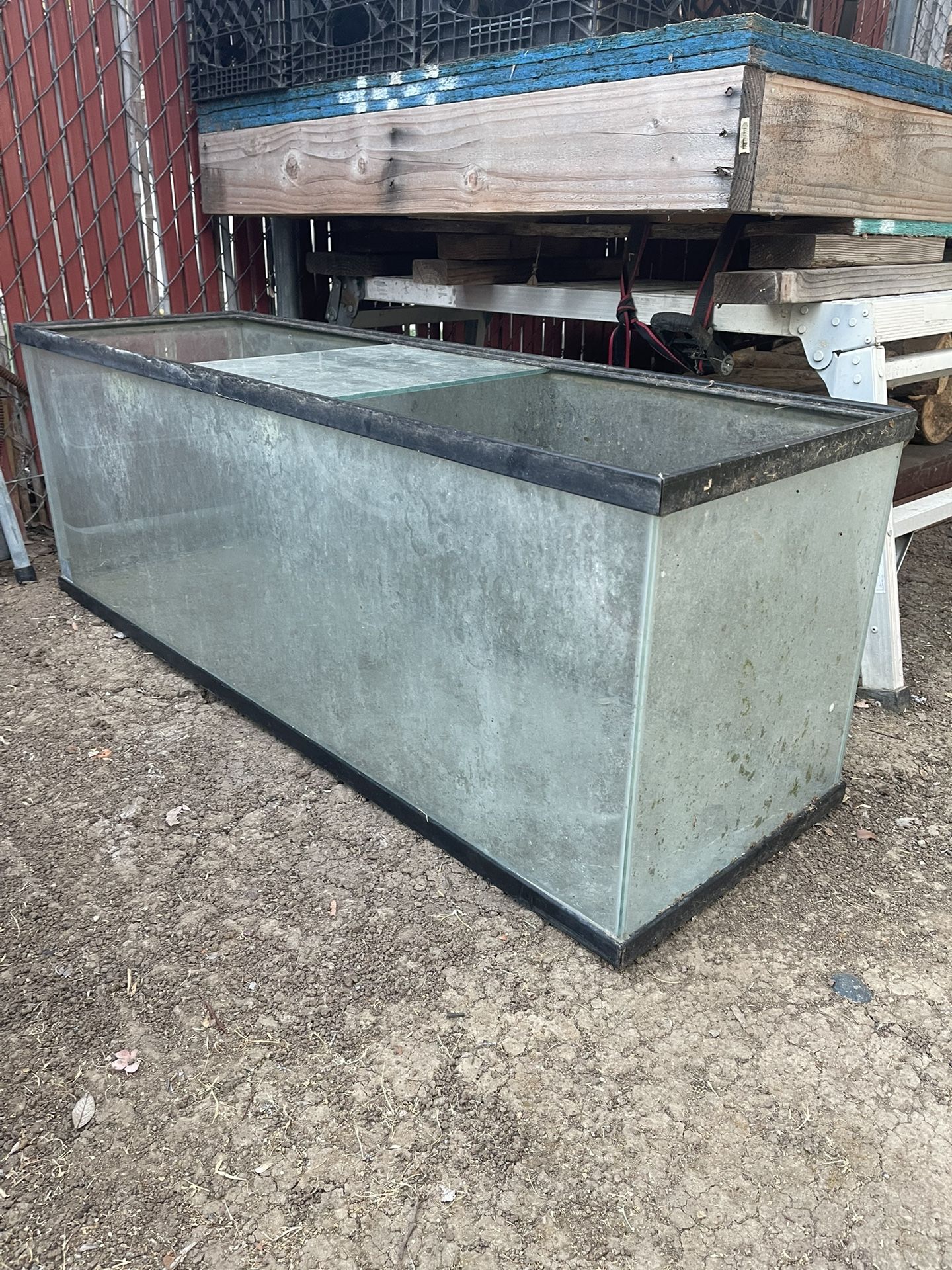 60 Gallon Fish Tank FREE