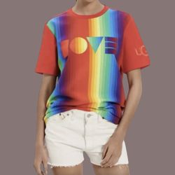 UGG Pride Rainbow Striped T-Shirt LOVE Small 20x25 Unis