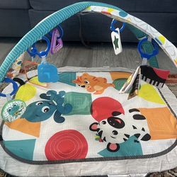 Baby Einstein Play Mat