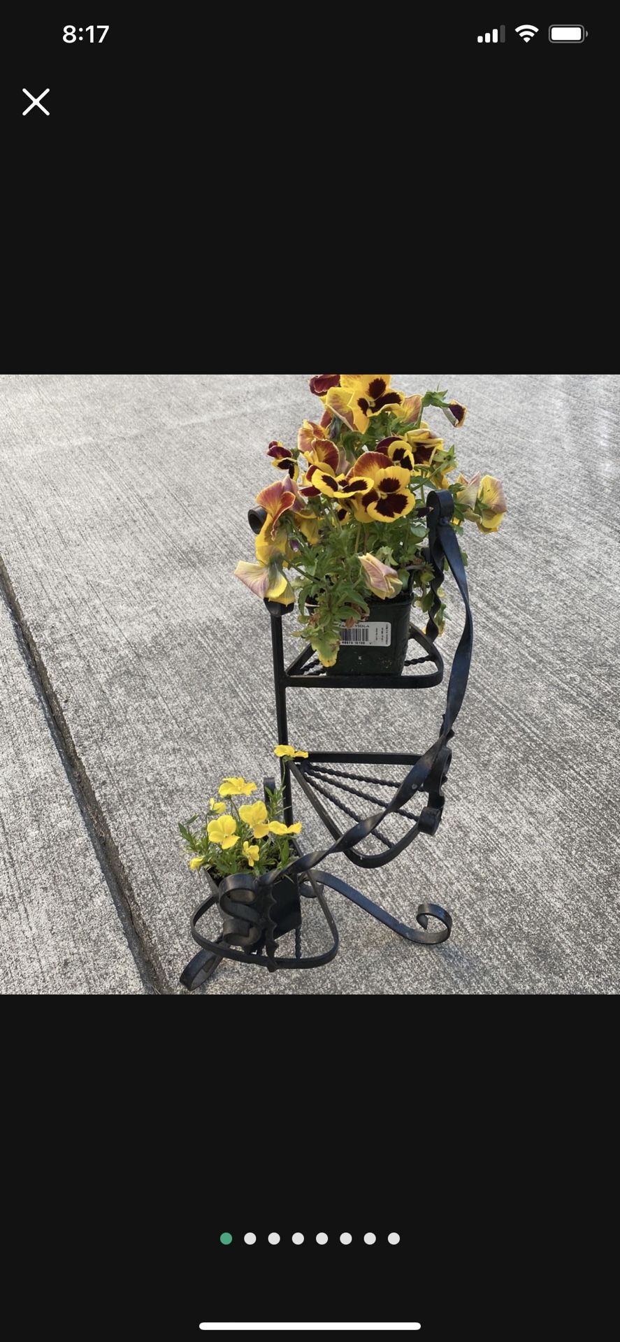 Iron Mini Pot Holder Very Cute Flowers Included Until They Last 