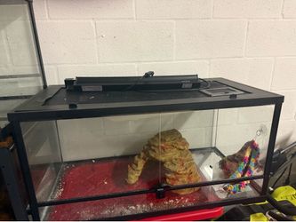 40 gallon reptile tank