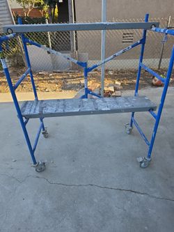 Werner scaffold