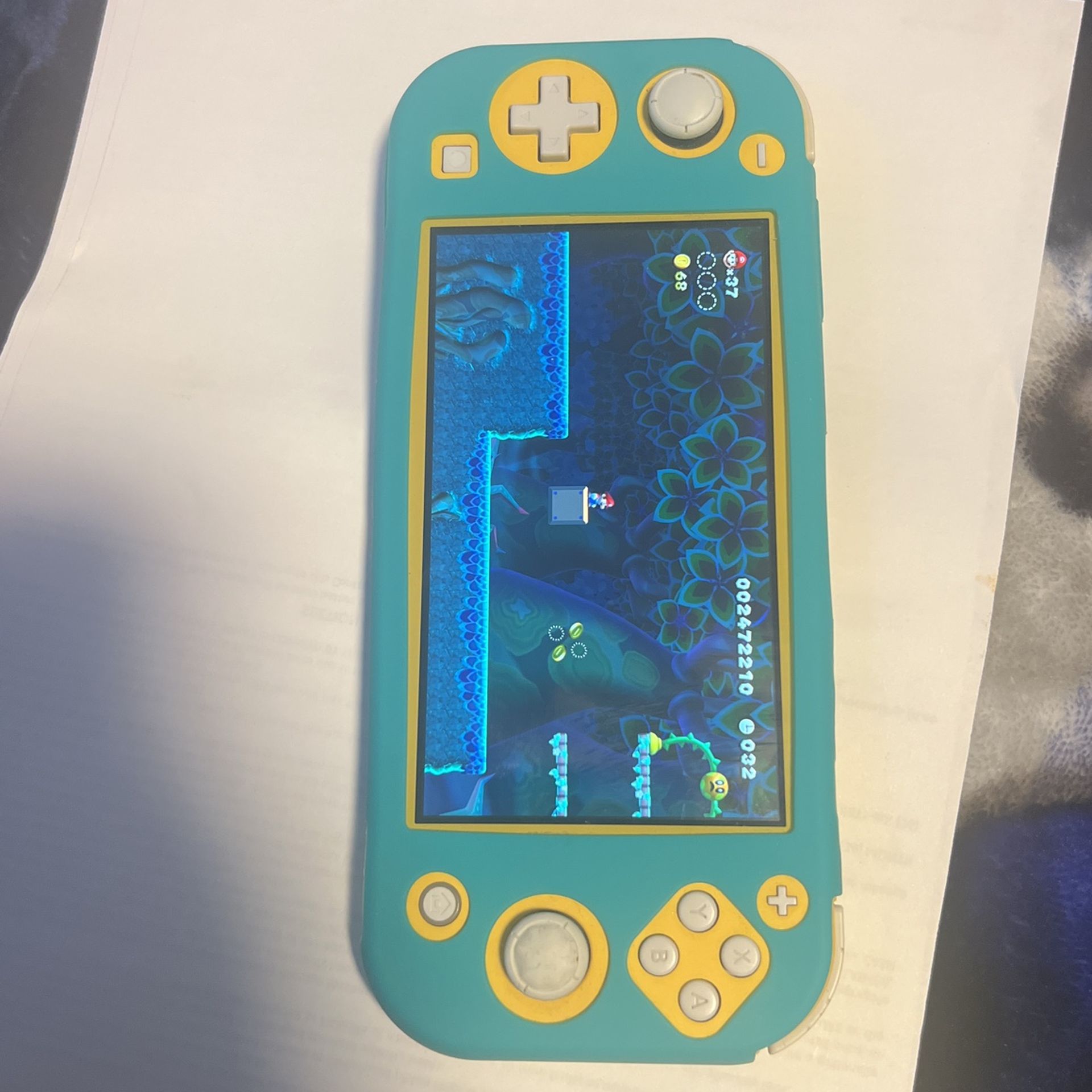 Nintendo Switch Lite
