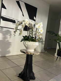 Orquídea Decoración 