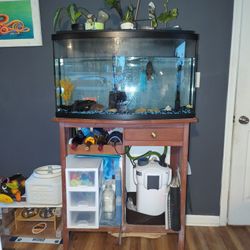 50 gallon Fish Tank And Set Up