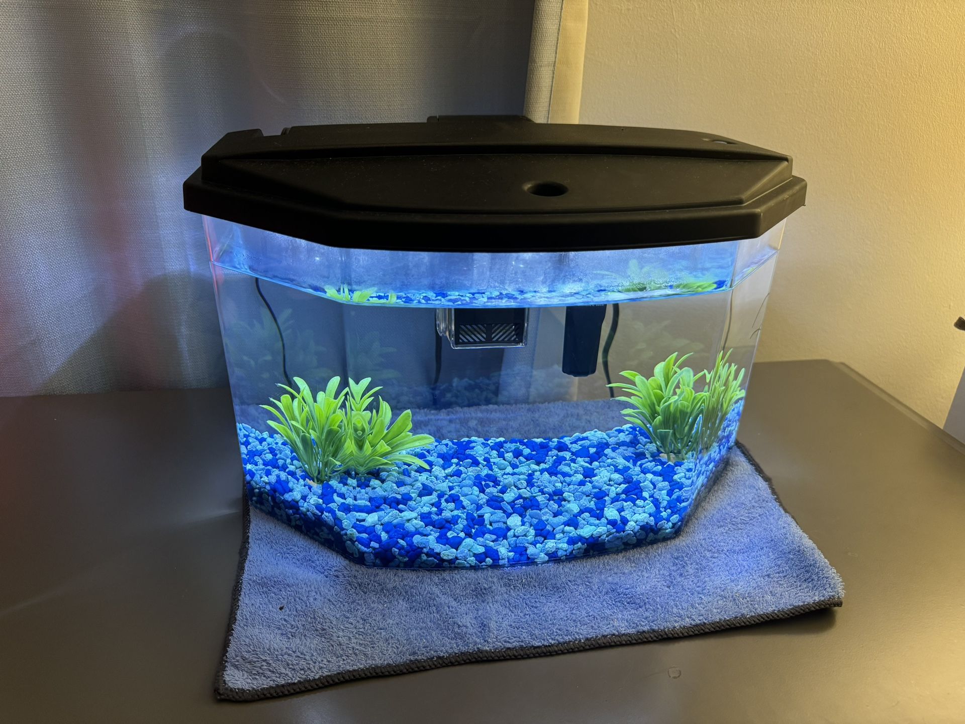 5 Gallon Fish Tank
