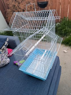 Bird Cage