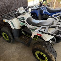 Quads For Sale