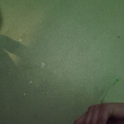 03 Escalade  2000 OBO