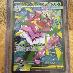 Mega Meganium EX - Special Illustration Rare Ascended Heroes 