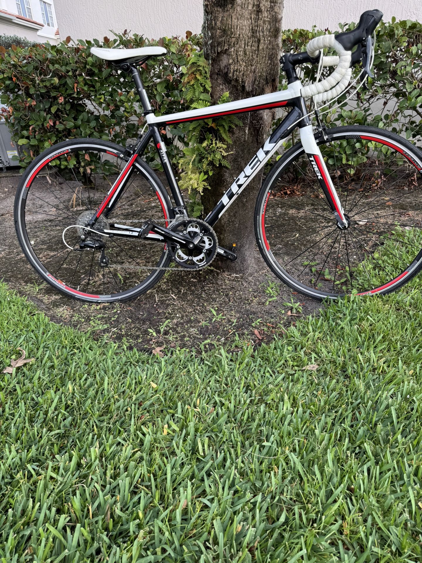 Trek Alpha 54 cm road bike