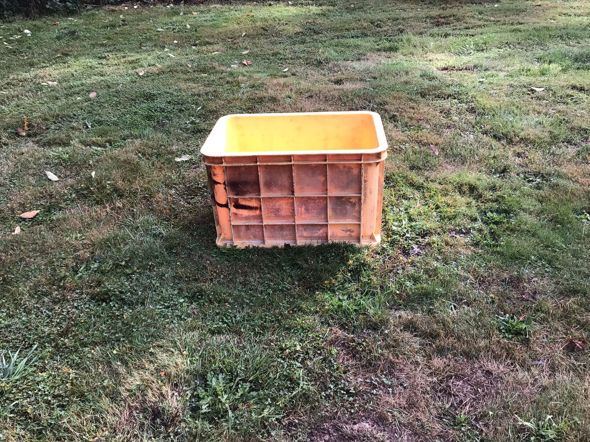 Hard Plastic Tote - Could Be Used As A Stock Watering Tank