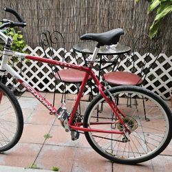 Schwinn Street 26