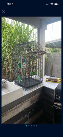 Bird Cage Plus Accessories