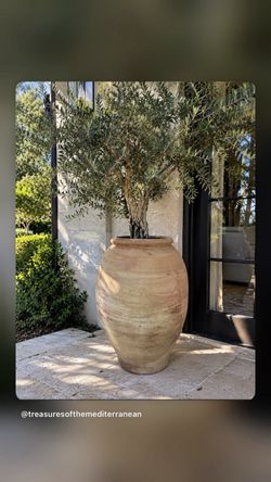 Handmade terra cotta Olive urn