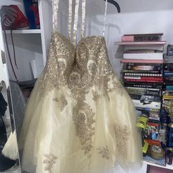 Prom Quinceañera Dress Short XL